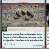 activiteours