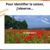saisons
